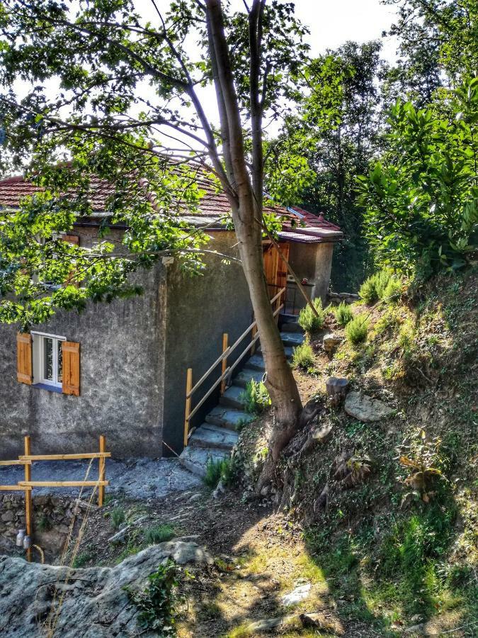 Berzuaia Bed & Breakfast Varazze Exteriör bild