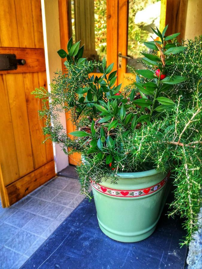 Berzuaia Bed & Breakfast Varazze Exteriör bild
