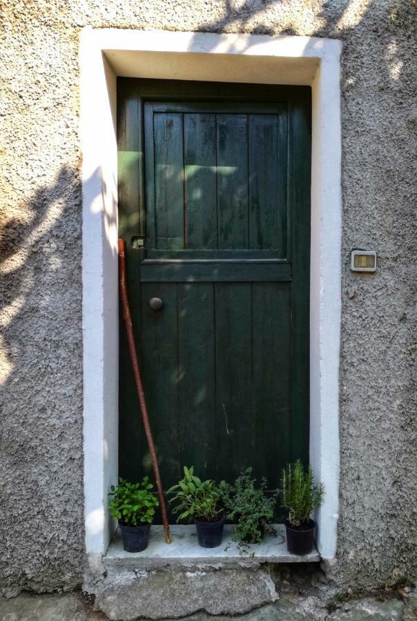 Berzuaia Bed & Breakfast Varazze Exteriör bild