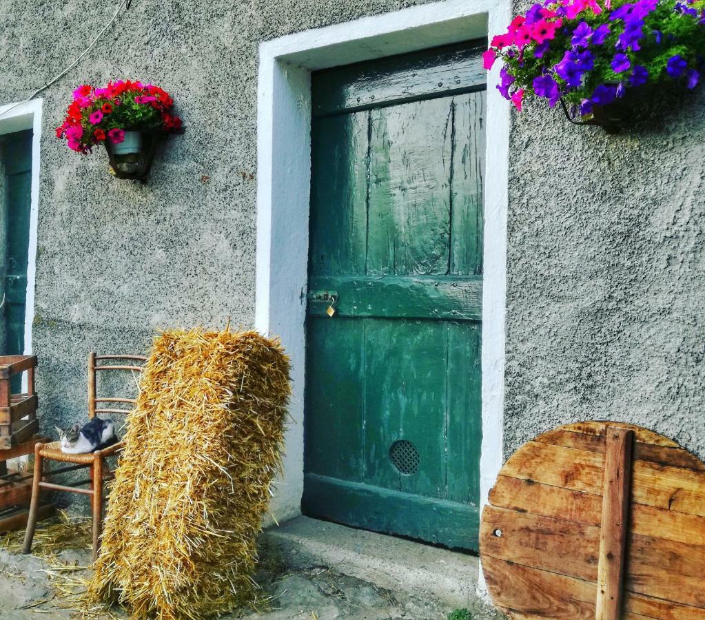 Berzuaia Bed & Breakfast Varazze Exteriör bild